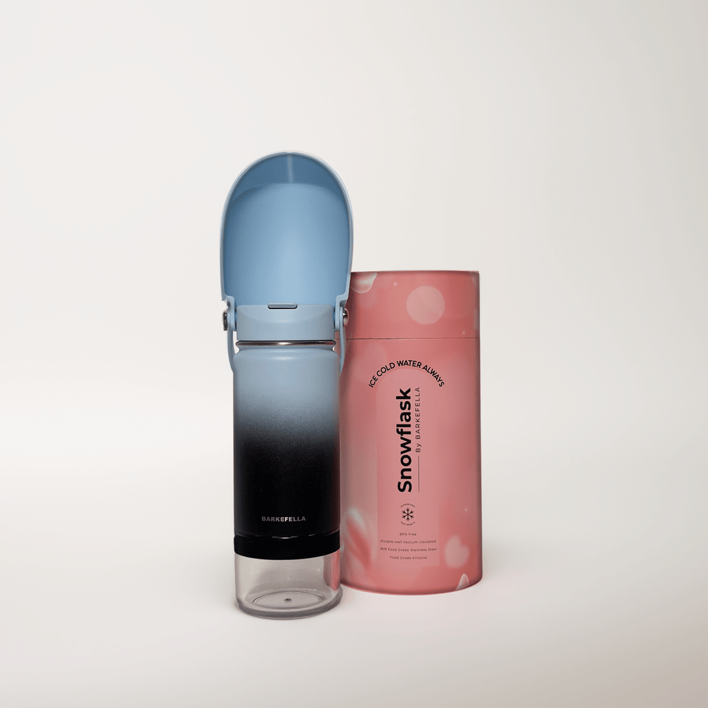 Waterbottle || Snowflask - Sky - 14oz_Barkefella