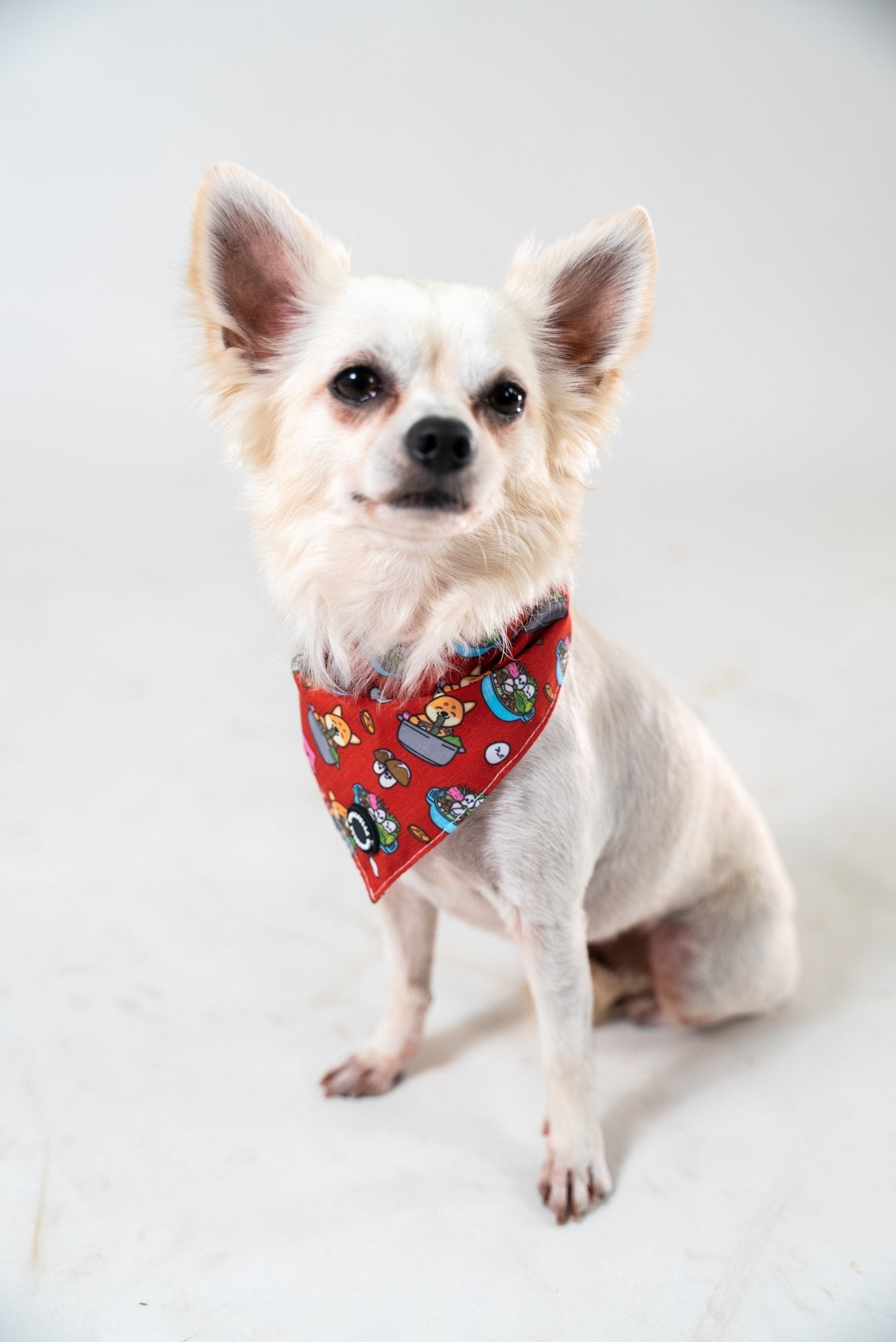 Bandanas || Steamboat_Barkefella