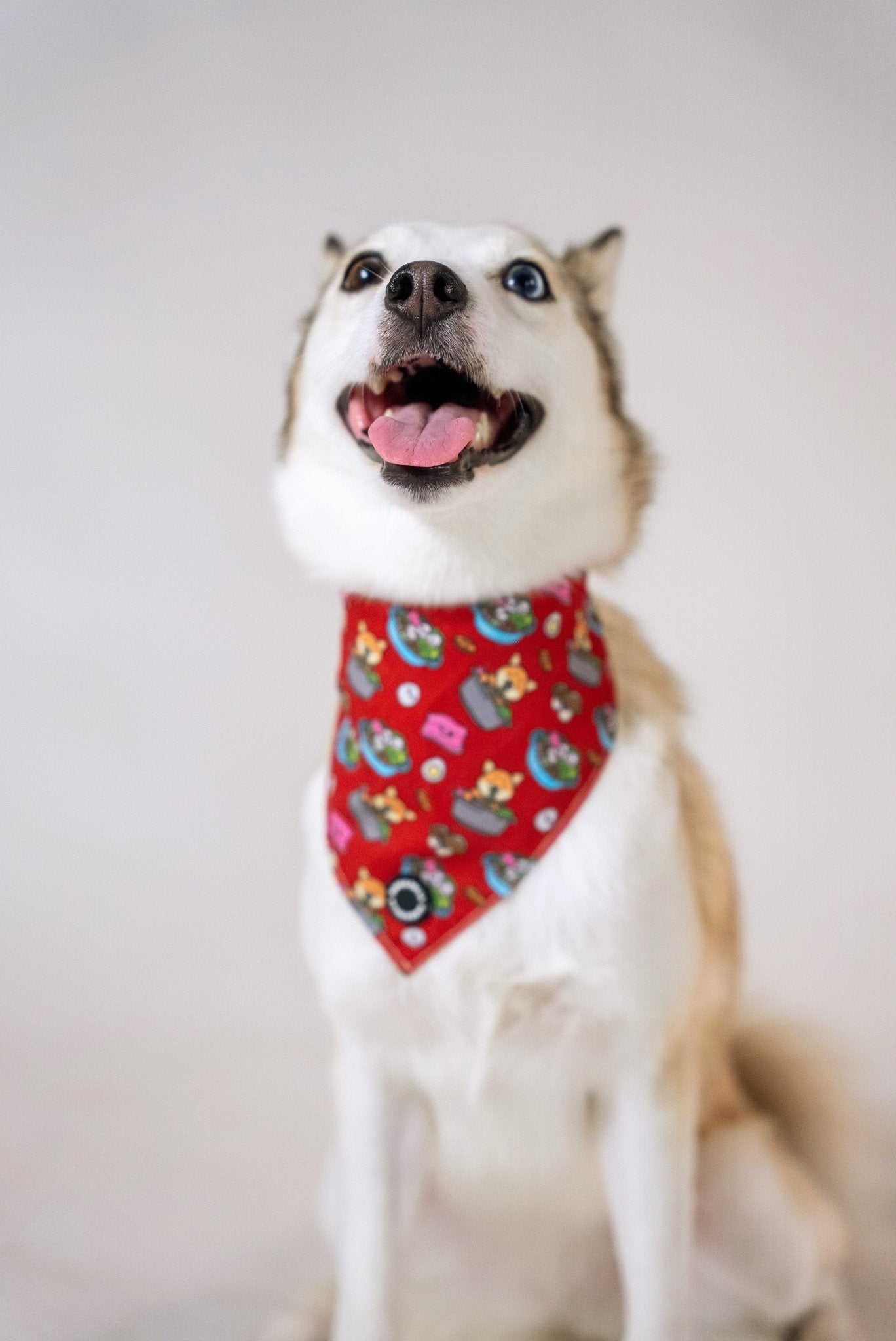 Bandanas || Steamboat_Barkefella